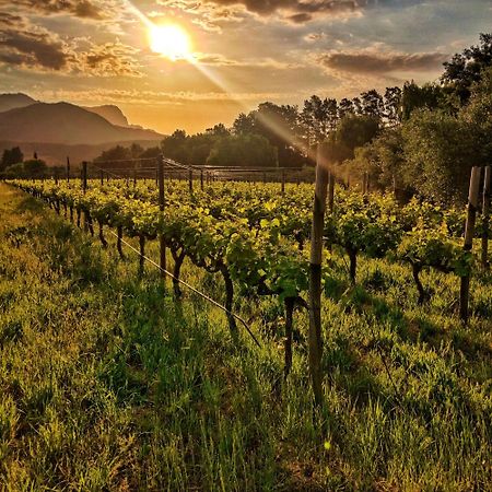 Glamping At The Well In Franschhoek Eksteriør billede